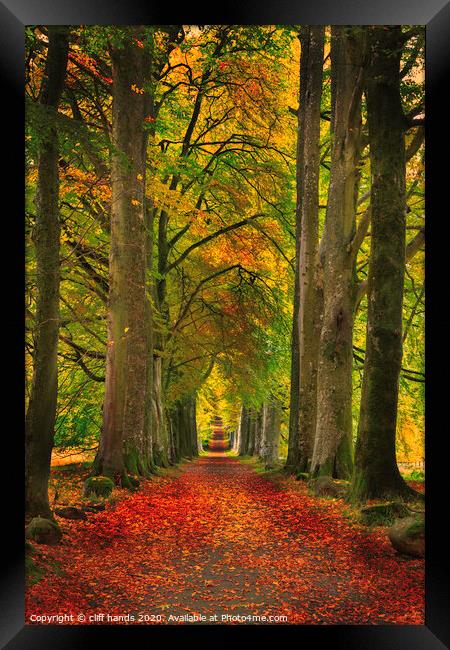 Avenue of Autumn in Scotland Framed Print by Scotland's Scenery