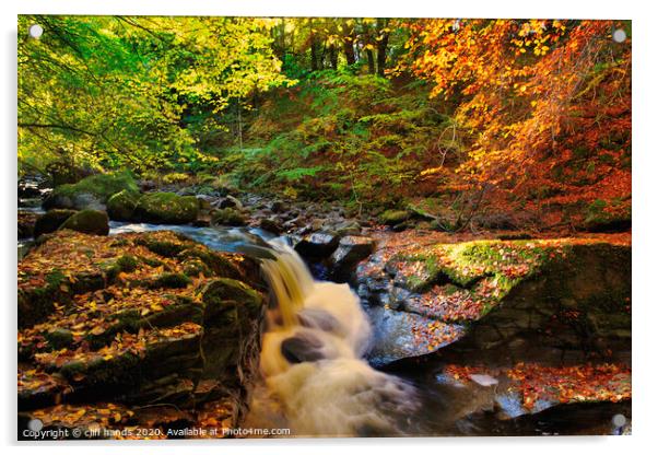 Birks of Aberfeldy, highlands, scotland. Acrylic by Scotland's Scenery