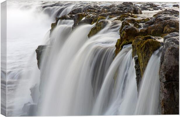 Waterfall in Iceland Canvas Print by Arterra 
