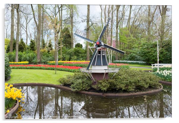 windmill and tulips in dutch Keukenhof Acrylic by Chris Willemsen