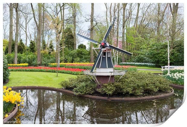 windmill and tulips in dutch Keukenhof Print by Chris Willemsen