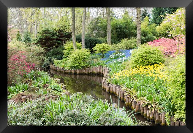english garden with flowers  Framed Print by Chris Willemsen