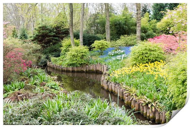 english garden with flowers  Print by Chris Willemsen