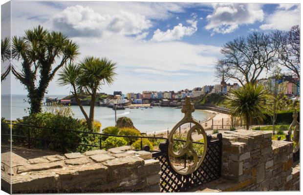 Tropical Tenby Canvas Print by Paddy Art