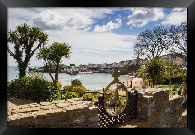 Tropical Tenby Framed Print by Paddy Art