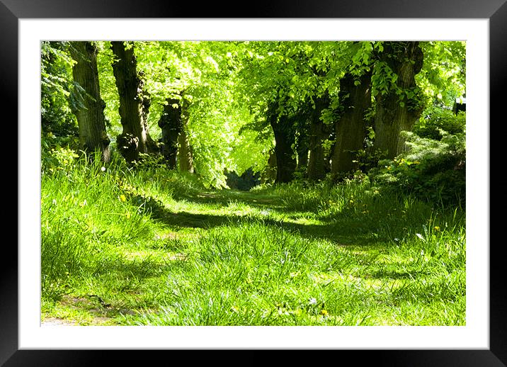 Grass lane Framed Mounted Print by Nathan Wright