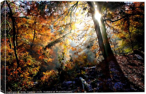 The Birks of Aberfeldy Canvas Print by Philip Hawkins