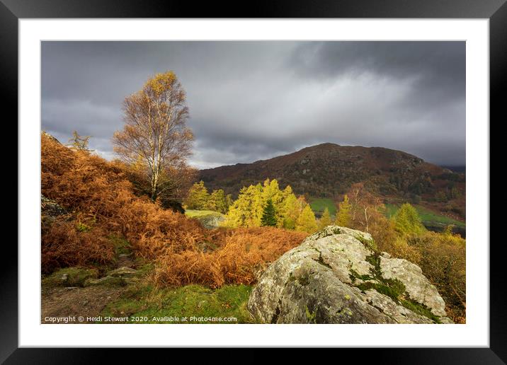 Autumn in the Lake District Framed Mounted Print by Heidi Stewart