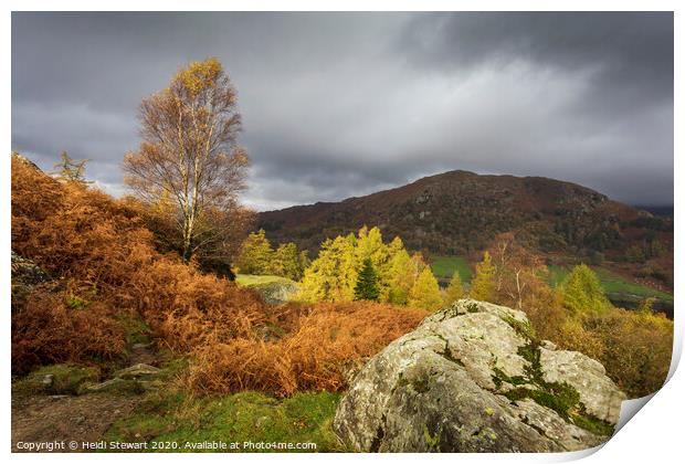 Autumn in the Lake District Print by Heidi Stewart