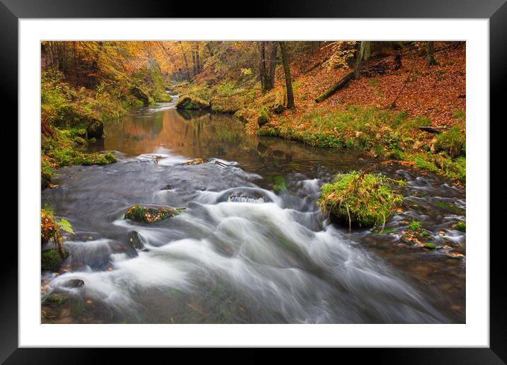 Stream in Bohemian Switzerland in Autumn Framed Mounted Print by Arterra 