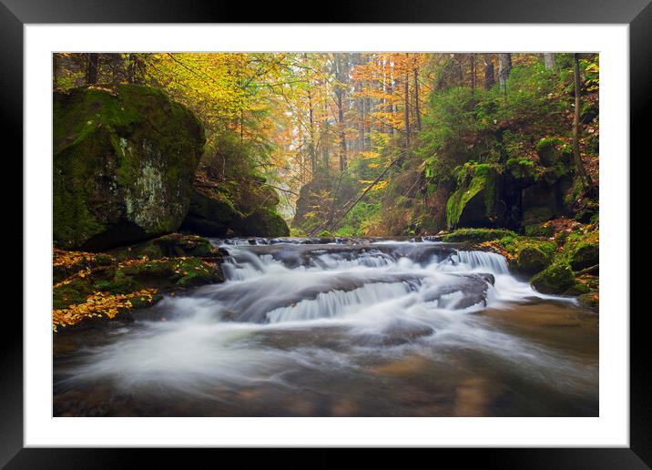 River in Autumn Forest Framed Mounted Print by Arterra 
