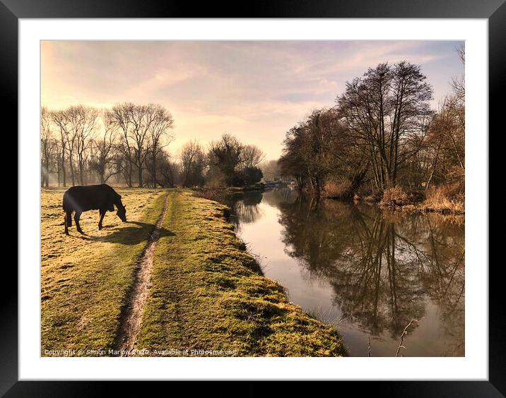 Majestic Horses in a Scenic Countryside Framed Mounted Print by Simon Marlow