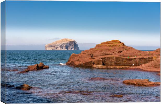 Bass Rock from Seacliff Harbour Canvas Print by Gary Eason