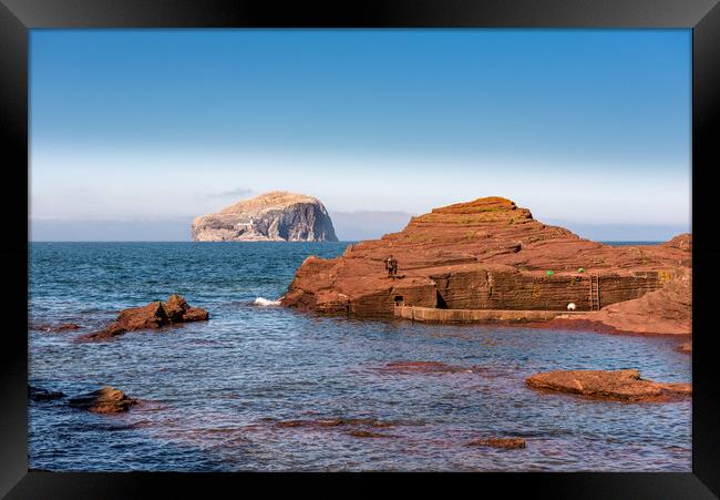 Bass Rock from Seacliff Harbour Framed Print by Gary Eason