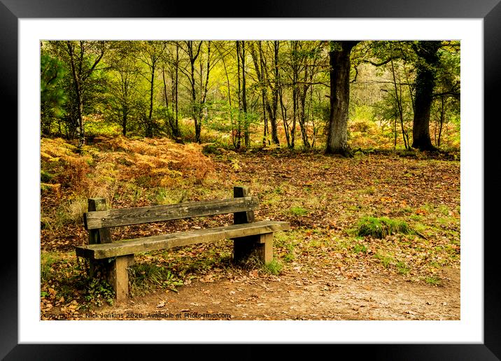 Autumn in the Forest of Dean Framed Mounted Print by Nick Jenkins