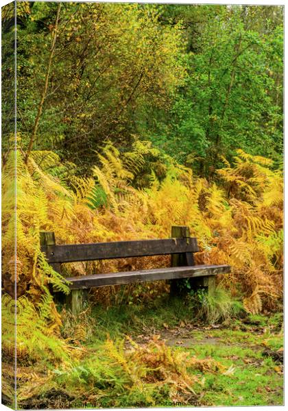Bench in the Bracken at Cannop Ponds Forest of Dea Canvas Print by Nick Jenkins