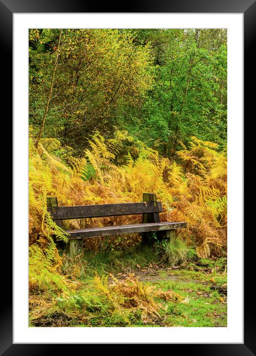 Bench in the Bracken at Cannop Ponds Forest of Dea Framed Mounted Print by Nick Jenkins