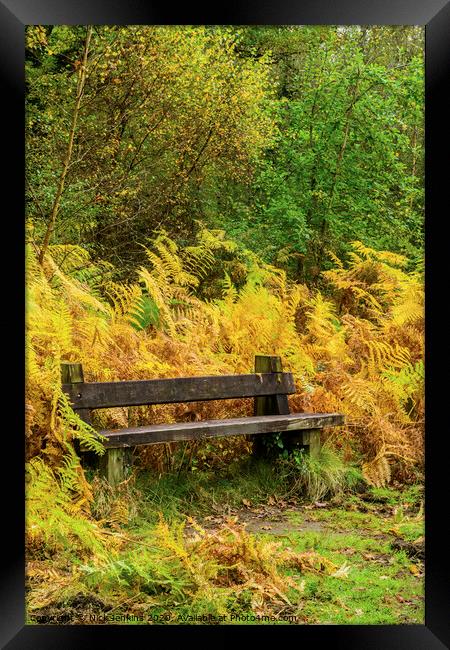 Bench in the Bracken at Cannop Ponds Forest of Dea Framed Print by Nick Jenkins