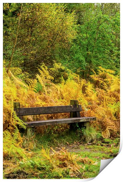 Bench in the Bracken at Cannop Ponds Forest of Dea Print by Nick Jenkins