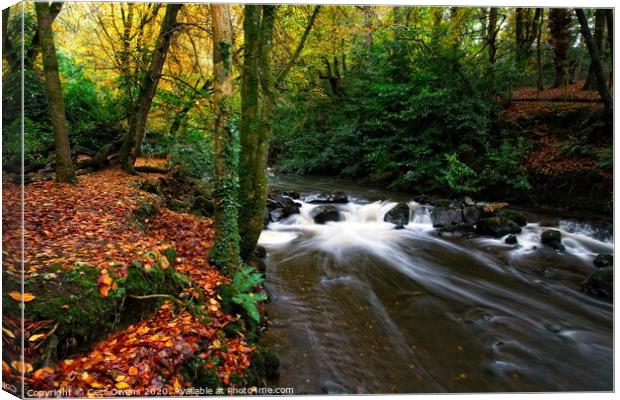 Crumlin river in full flow Canvas Print by Cecil Owens