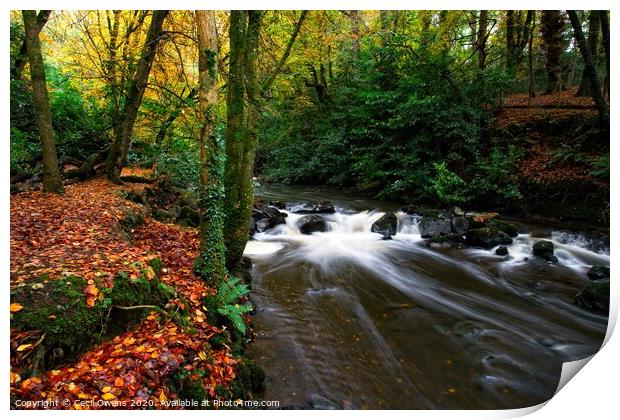 Crumlin river in full flow Print by Cecil Owens