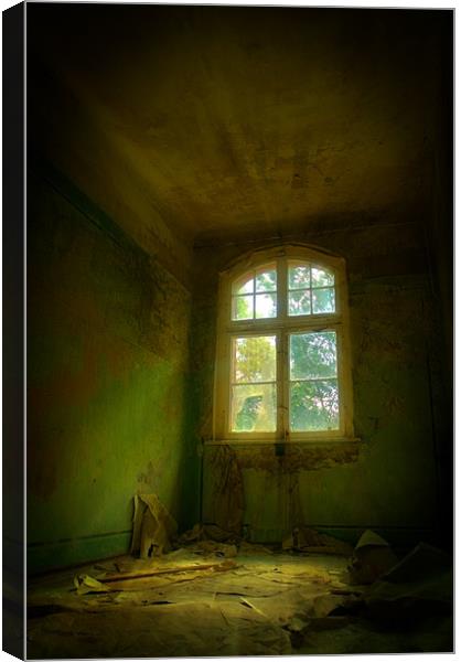 Hospital window Canvas Print by Nathan Wright