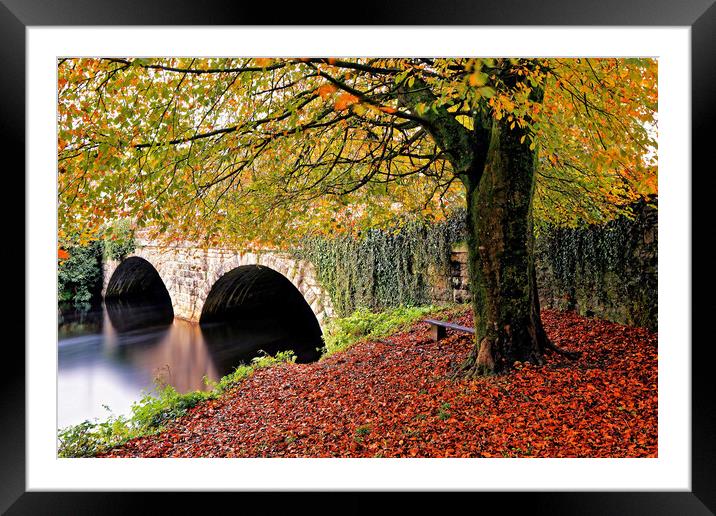 Autumnal Abbey Bridge Tavistock Devon Framed Mounted Print by austin APPLEBY
