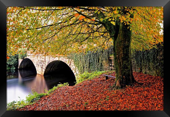 Autumnal Abbey Bridge Tavistock Devon Framed Print by austin APPLEBY