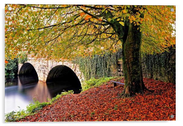 Autumnal Abbey Bridge Tavistock Devon Acrylic by austin APPLEBY