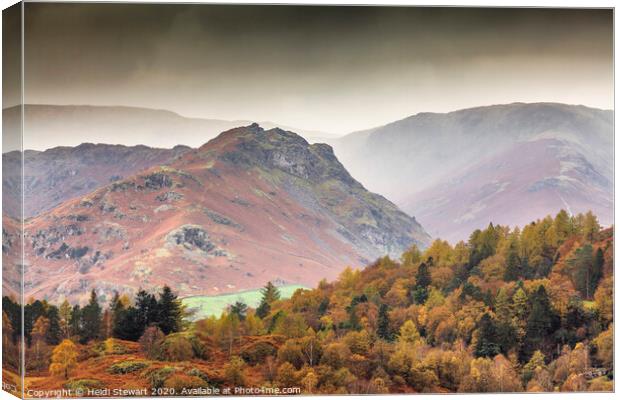 Mountains and Trees Canvas Print by Heidi Stewart