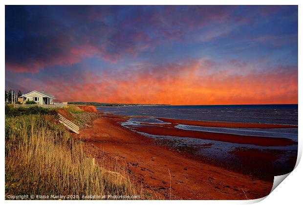Red Sand Beaches   Prince Edward Island Atlantic C Print by Elaine Manley