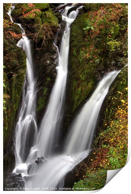 Stock Ghyll Force, Lake District Print by Peter Lovatt  LRPS