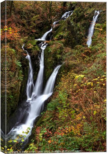 Stock Ghyll Force in Autumn Canvas Print by Peter Lovatt  LRPS