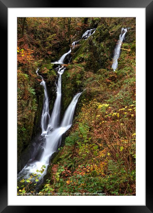 Stock Ghyll Force in Autumn Framed Mounted Print by Peter Lovatt  LRPS