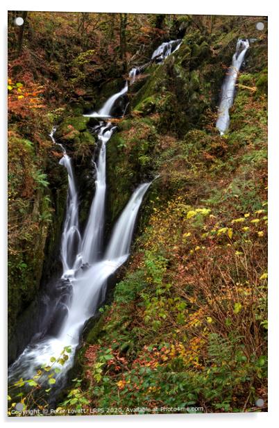 Stock Ghyll Force in Autumn Acrylic by Peter Lovatt  LRPS