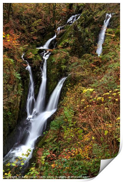 Stock Ghyll Force in Autumn Print by Peter Lovatt  LRPS