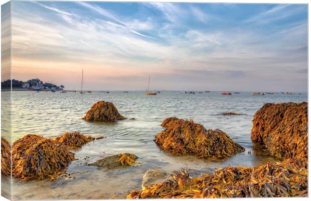 Mesmerizing Seaview Sunrise Canvas Print by James Marsden