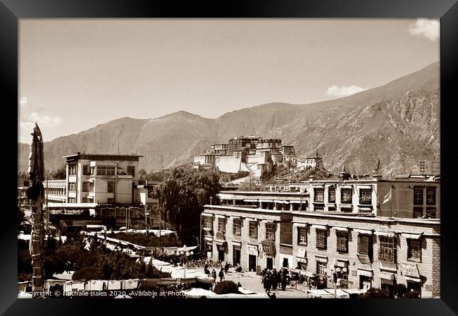 Potala Palace , Lhasa Framed Print by Nathalie Hales