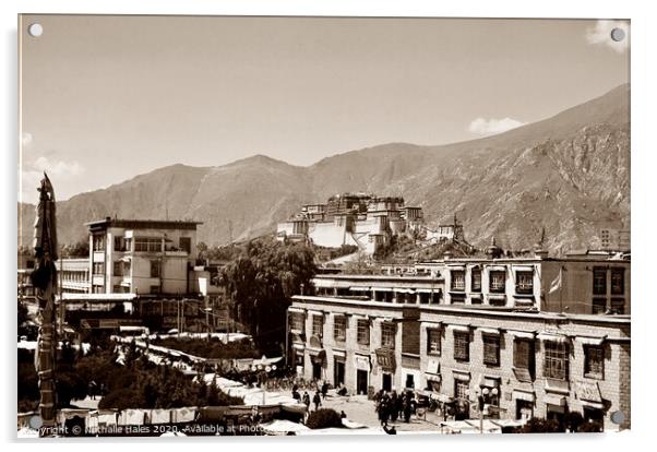 Potala Palace , Lhasa Acrylic by Nathalie Hales
