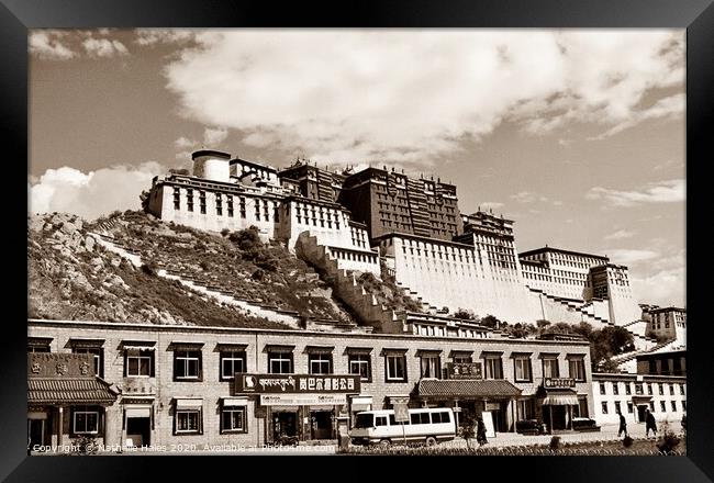 Potala Palace, Lhasa (2) Framed Print by Nathalie Hales