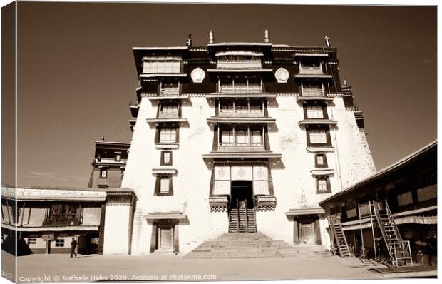 Potala Palace entrance, Lhasa Canvas Print by Nathalie Hales