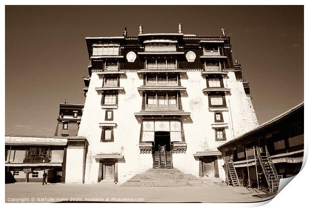 Potala Palace entrance, Lhasa Print by Nathalie Hales