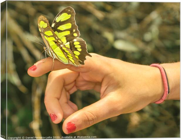 Butterfly Sitting on Woman Finger Canvas Print by Daniel Ferreira-Leite