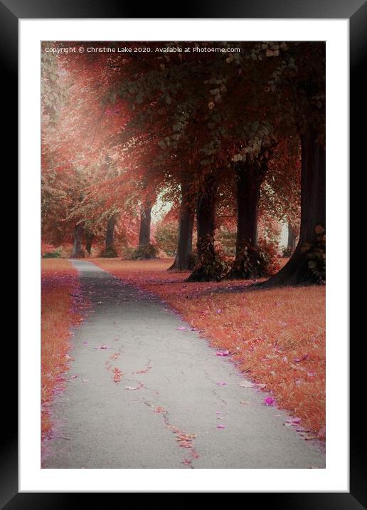 Path Through The Wood Framed Mounted Print by Christine Lake