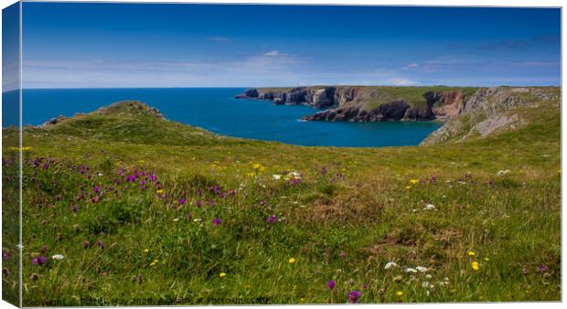 Flowers over Castlemartin Canvas Print by Paddy Art