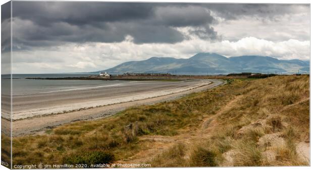 Tyrella beach,with the Mountains of Mourne in Nort Canvas Print by jim Hamilton