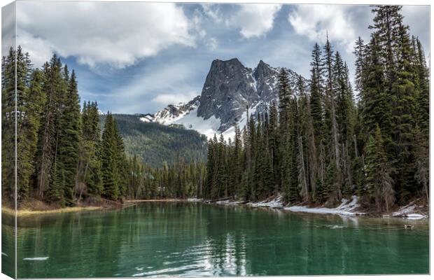 Looking South Towards Mt Burgess from Emerald Lake Canvas Print by Belinda Greb
