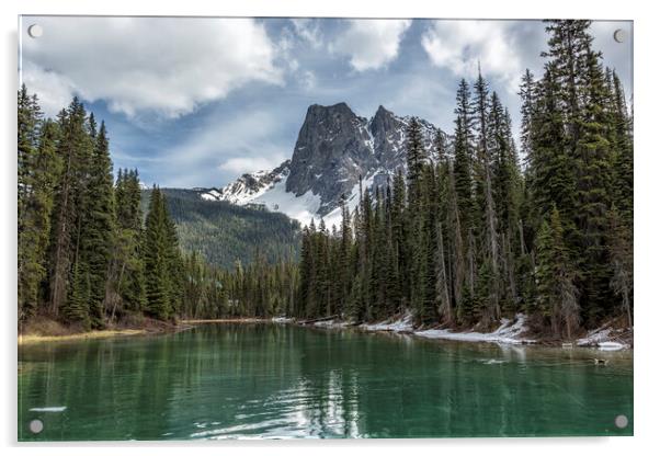 Looking South Towards Mt Burgess from Emerald Lake Acrylic by Belinda Greb