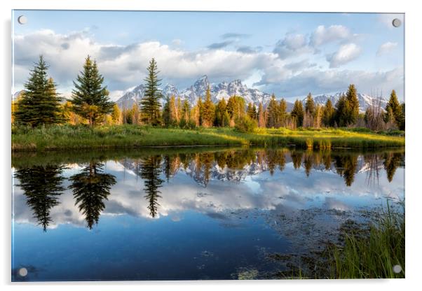 Grand Tetons and Trees Reflected in Snake River at Schwabacher's Landing Acrylic by Belinda Greb