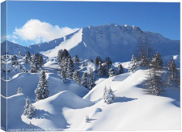 Pristine snow-scape Canvas Print by David Mather